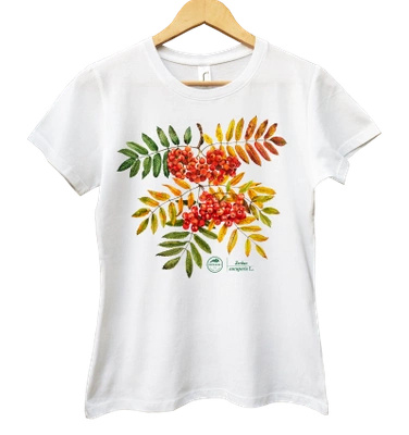 Rowan — women's t-shirt