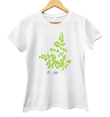 Maidenhair fern — women's t-shirt