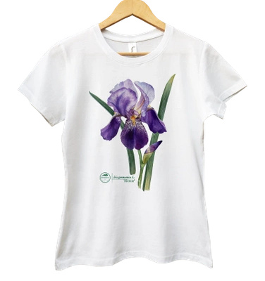 Iris 'Alcazar' — women's t-shirt